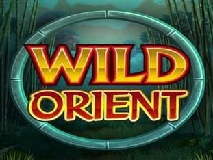 Wild Orient